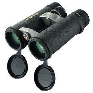 Best 8×42 Hunting Binoculars